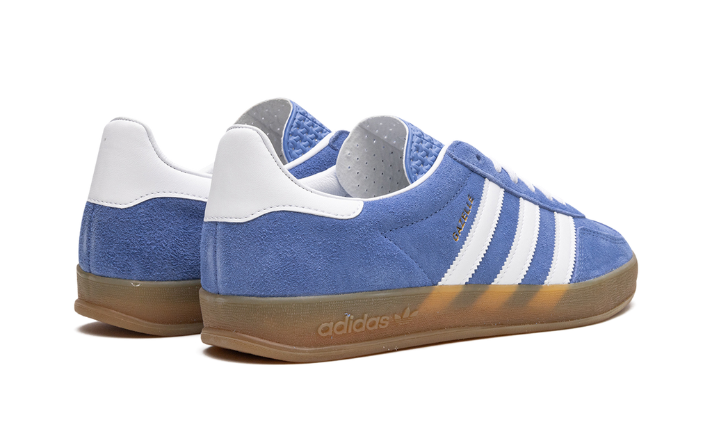 Blue Gazelle Indoor Fusion