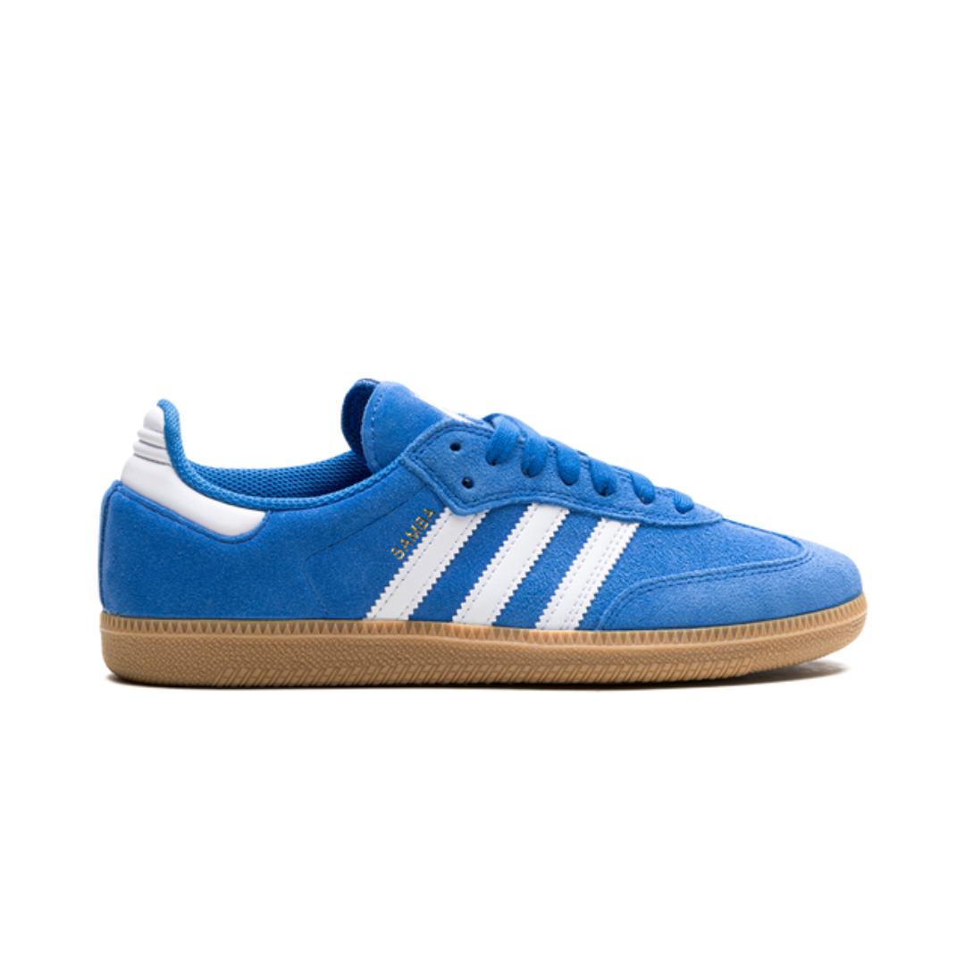Samba Blue Adv Bird