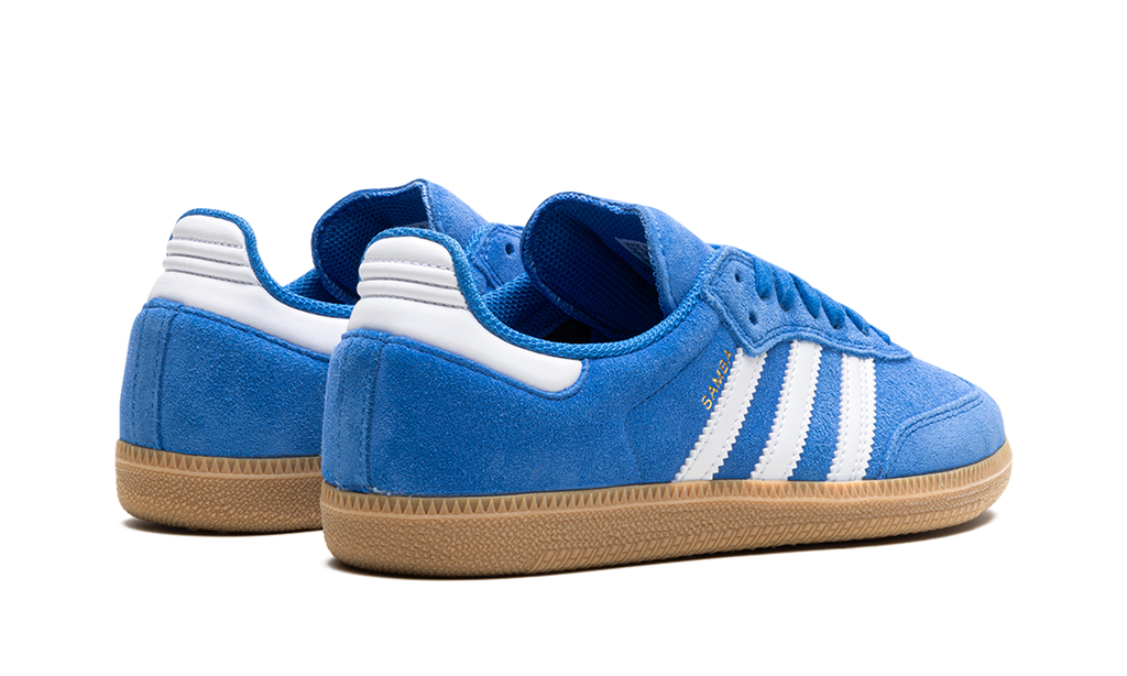 Samba Blue Adv Bird