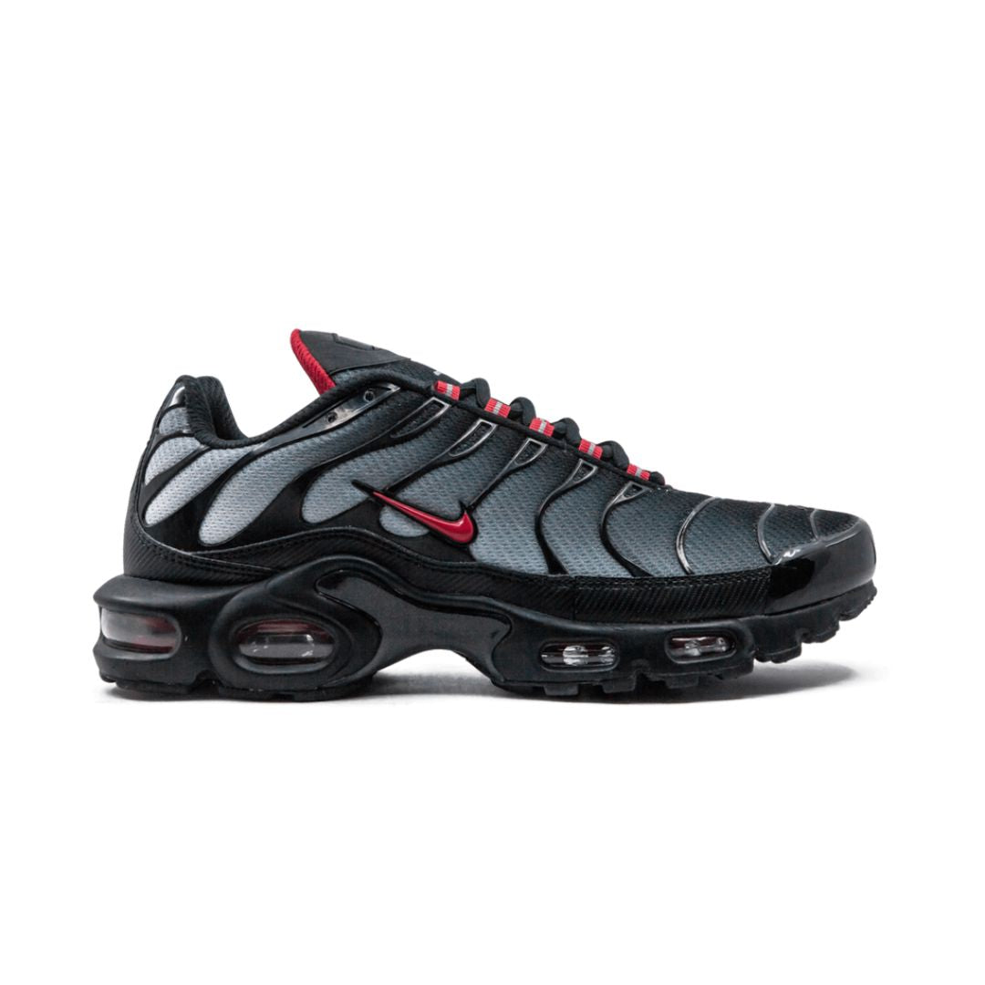 Air Max Blue Plus and Red