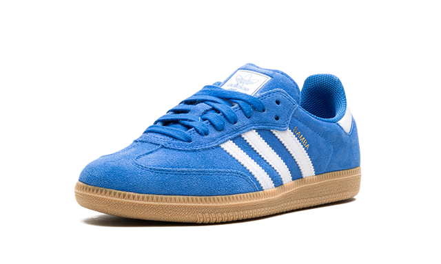 Samba Blue Adv Bird