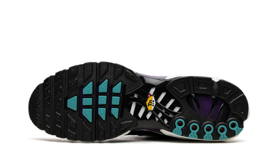 Air Max Plus Reverse Grape