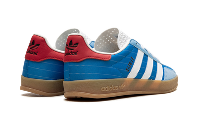 Blue Gazelle Indoor Paris Olympics