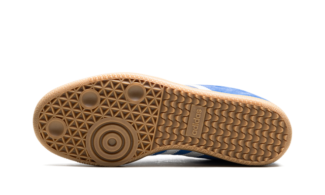Samba Blue Adv Bird