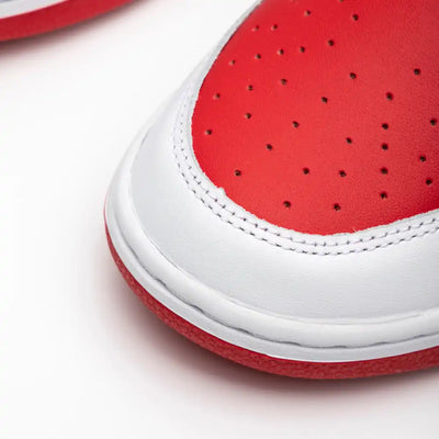 Dunk Low Red Championship