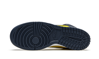 Dunk High Michigan