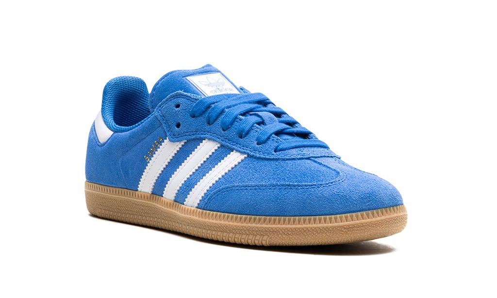 Samba Blue Adv Bird