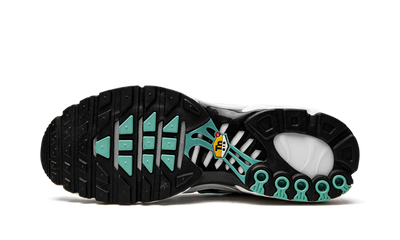 Air Max Plus Atmos
