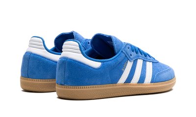 Samba Blue Adv Bird