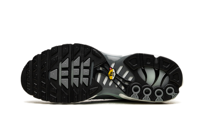 Air Max Plus Waterway