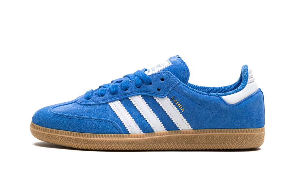 Samba Blue Adv Bird