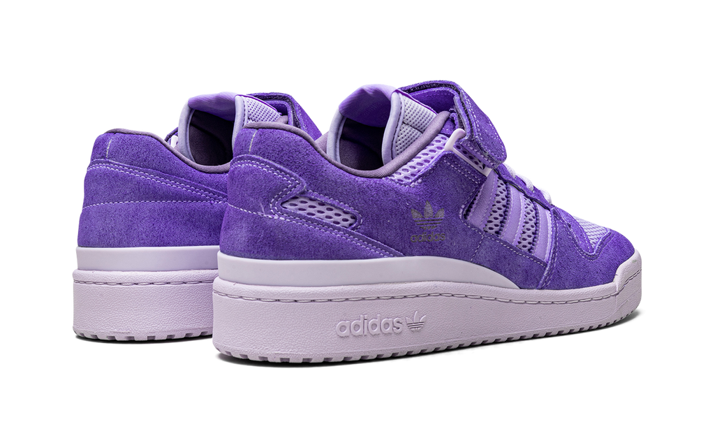 Purple Forum 84 Low 8K Tech