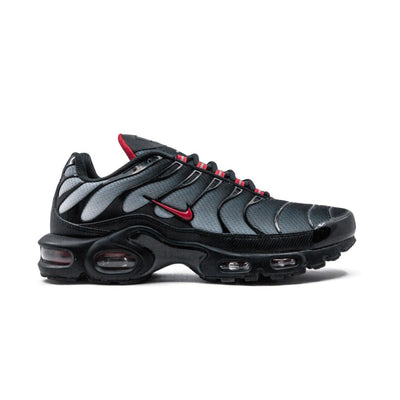 Air Max Blue Plus and Red