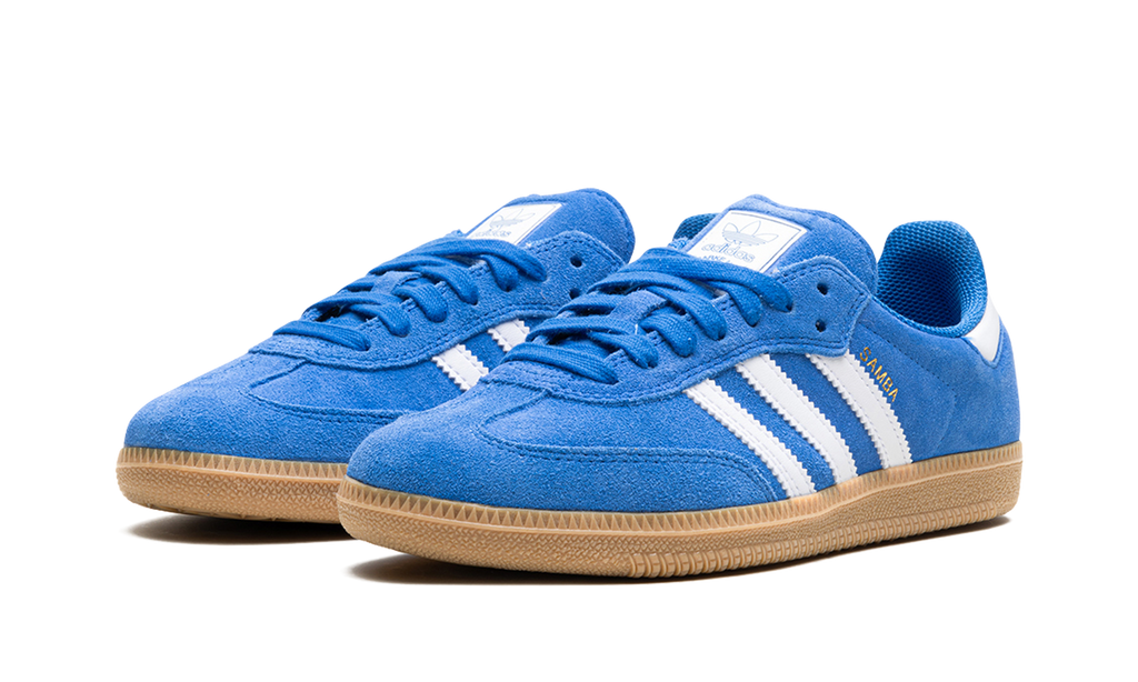 Samba Blue Adv Bird