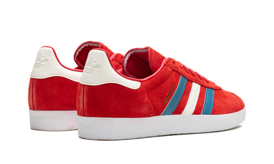 Gazelle Chile